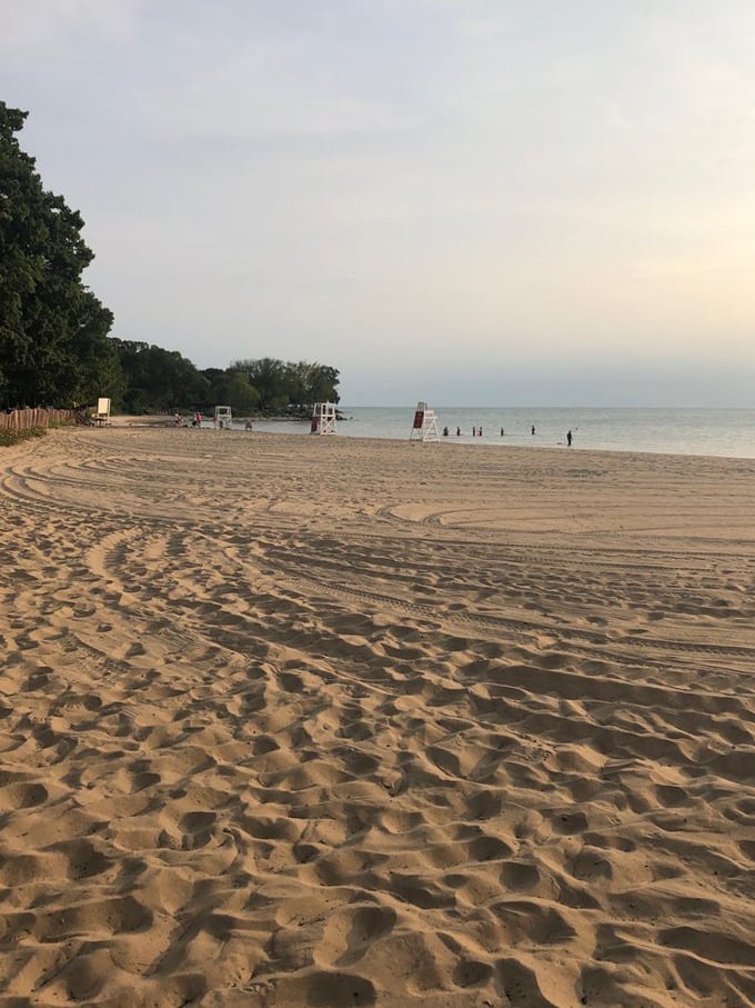 Evanston's best-kept secret. It's like finding an extra fry at the bottom of the bag, but instead, it's a whole beach.