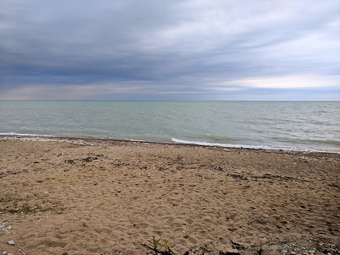 Where the Prairie State shows off its coastal side. Bluffs, beaches, and biodiversity – oh my! Dorothy, we're definitely not in Kansas anymore. 