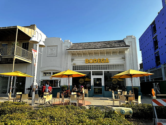 Bodega: Where hipsters and abuelitas unite over heavenly Cuban sandwiches. This St. Pete hotspot is cooler than a penguin's picnic.