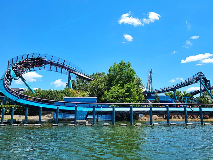 Hold onto your hats – and your lunch! Mako's twists and turns are the roller coaster equivalent of a Twister game.