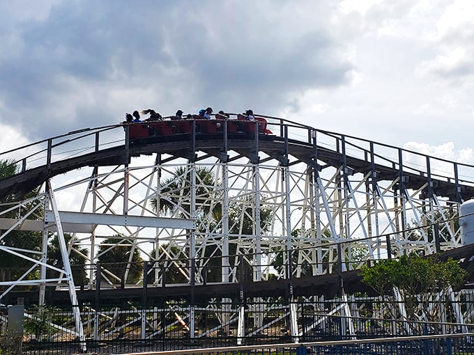 Rattling good fun! This coaster shakes, rattles, and rolls like Elvis in his prime.