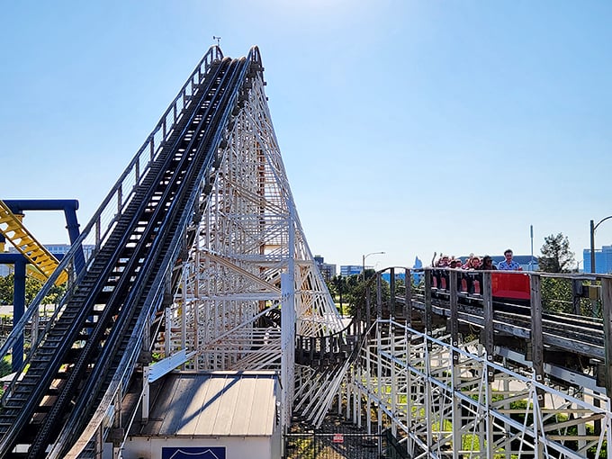 Wooden you like to ride? White Lightning proves that sometimes the old ways are the best ways.