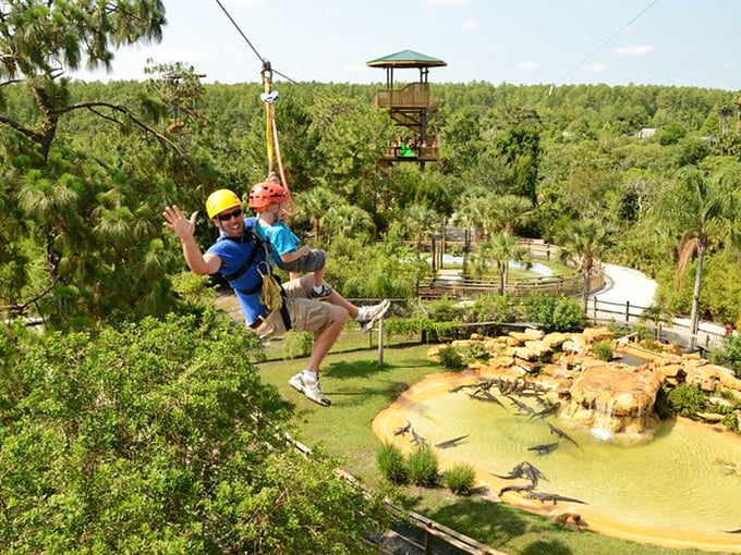 Flying high over snapping jaws. The Screamin' Gator Zip Line lets you soar like an eagle… over alligators.