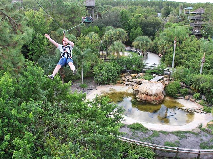 Gator crossing – from above! This zip line gives "look, but don't touch" a whole new meaning.