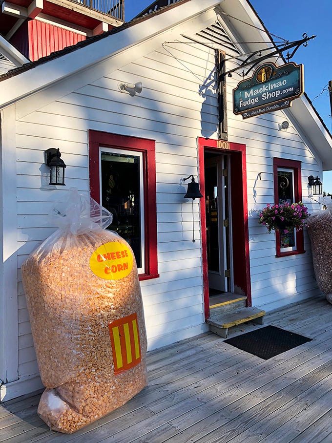 Size doesn't matter at Mackinac Fudge Shop. This little store packs a big flavor punch. It's the ant that moves the rubber tree plant of the fudge world.