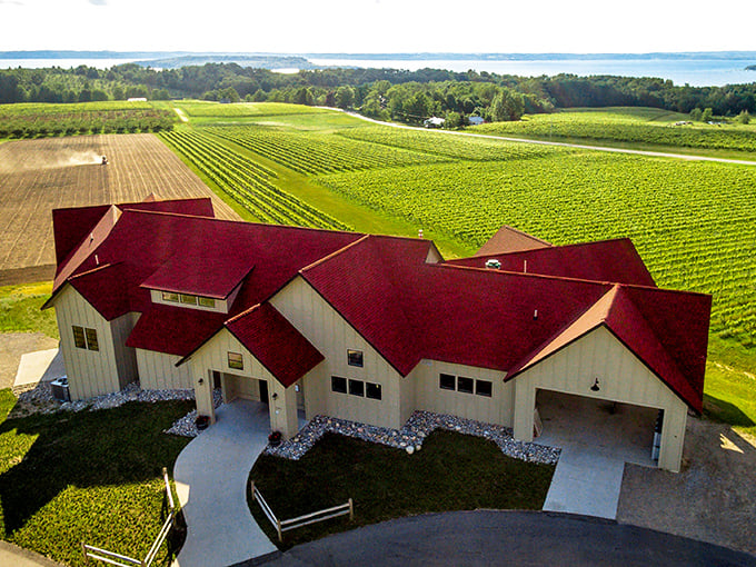 Bonobo Winery: Where grapes go to live their best life. This modern tasting room could make even a teetotaler consider a sip.