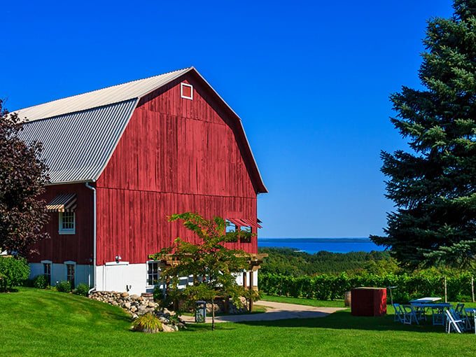 Ciccone Vineyard: Red barn, blue sky, green vines. It's like a color theory class you can drink.