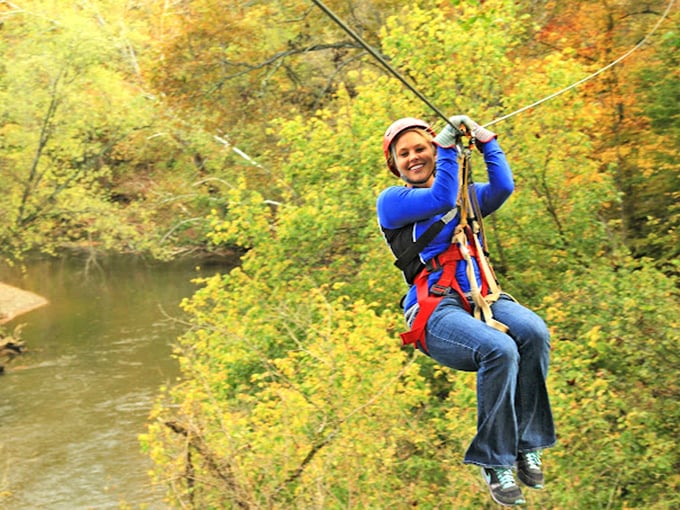 Elevate your road trip game – literally! Trade four wheels for a harness and experience the ultimate scenic route through the canopy.