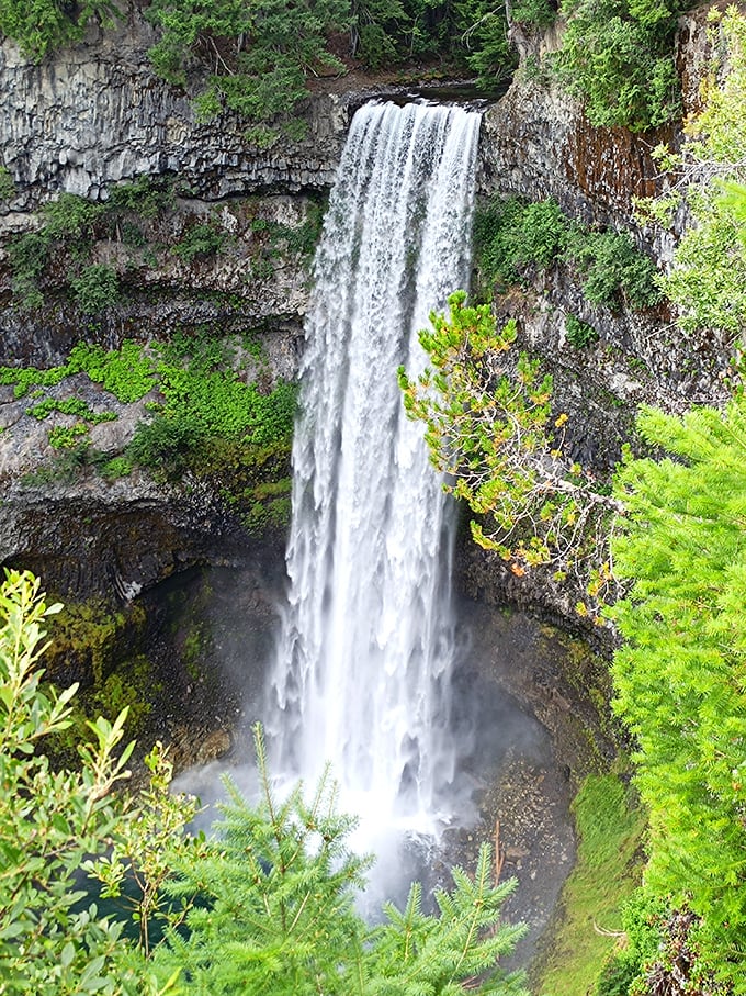 Road trip rule #1: Always stop for 65-foot waterfalls. Brandywine Falls is your ticket to instant awe.