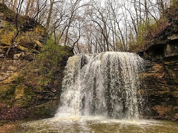 No need to choose between city lights and natural sights. Hayden Falls is your two-for-one road trip special.