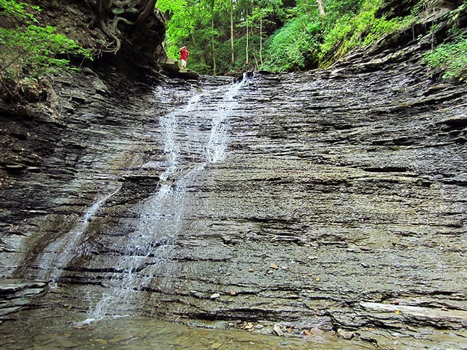 Got milk? Nope, just a frothy waterfall that'll make your road trip extra smooth.