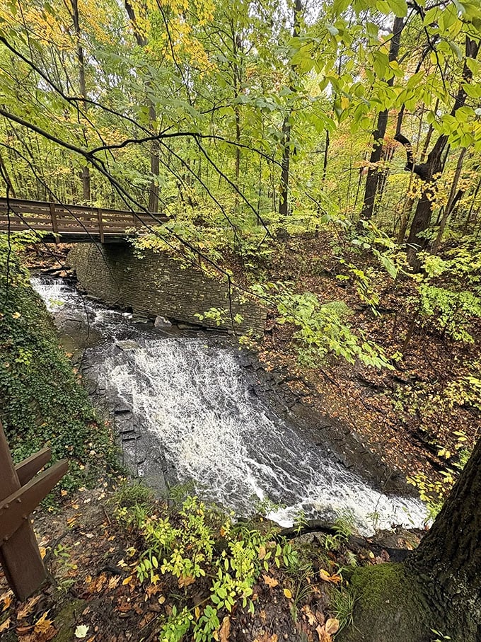 Roadside attraction or nature's own milkshake? At Buttermilk Falls, you decide!