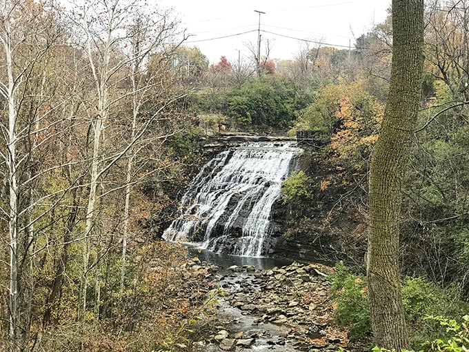 From highways to hidden gems, Mill Creek Falls proves every exit can lead to adventure.