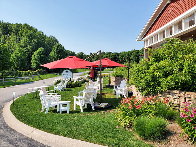 A porch with a view that could make a smartphone addict look up. Wine tasting with a side of panoramic bliss.