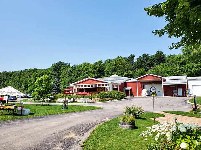 Black Star Farms: Not just a winery, it's a choose-your-own-adventure in Grape Land. Indiana Jones would approve.