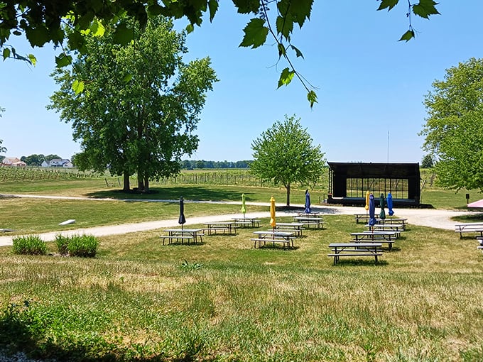 Picnic tables and grapevines: the perfect recipe for a day out. Just add friends and a bottle (or two).