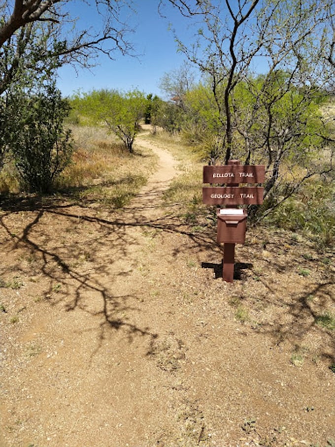 Choose your own adventure on Oracle's trails. Whether you're a geology buff or just enjoy a good walk, there's a path calling your name.