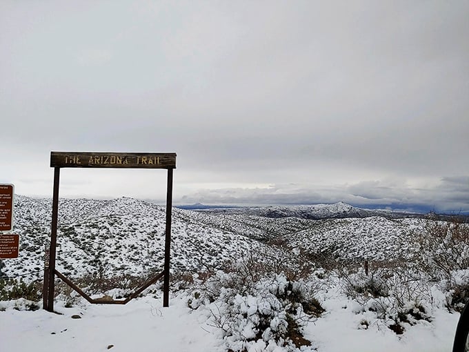 Winter in Oracle: Where cacti don snowcaps and the desert transforms into a frosty wonderland. Who says you can't have a white Christmas in Arizona?