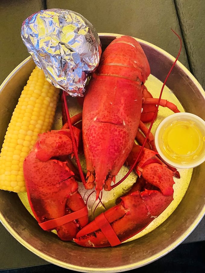 Behold, the crown jewel of Maine cuisine! This lobster dinner is so fresh, it might just try to pinch you back.