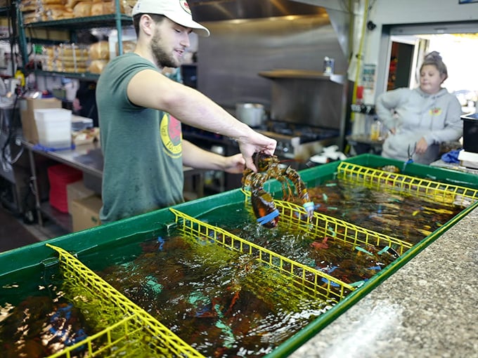 Where the magic happens: fresh-caught lobsters getting ready for their butter bath. It's like a day spa, but tastier.