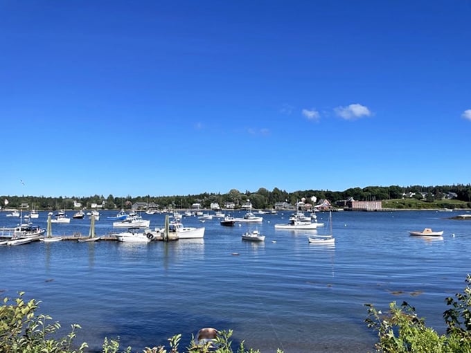 A view that's better than any big-screen TV. Who needs Netflix when you've got nature's own harbor channel?