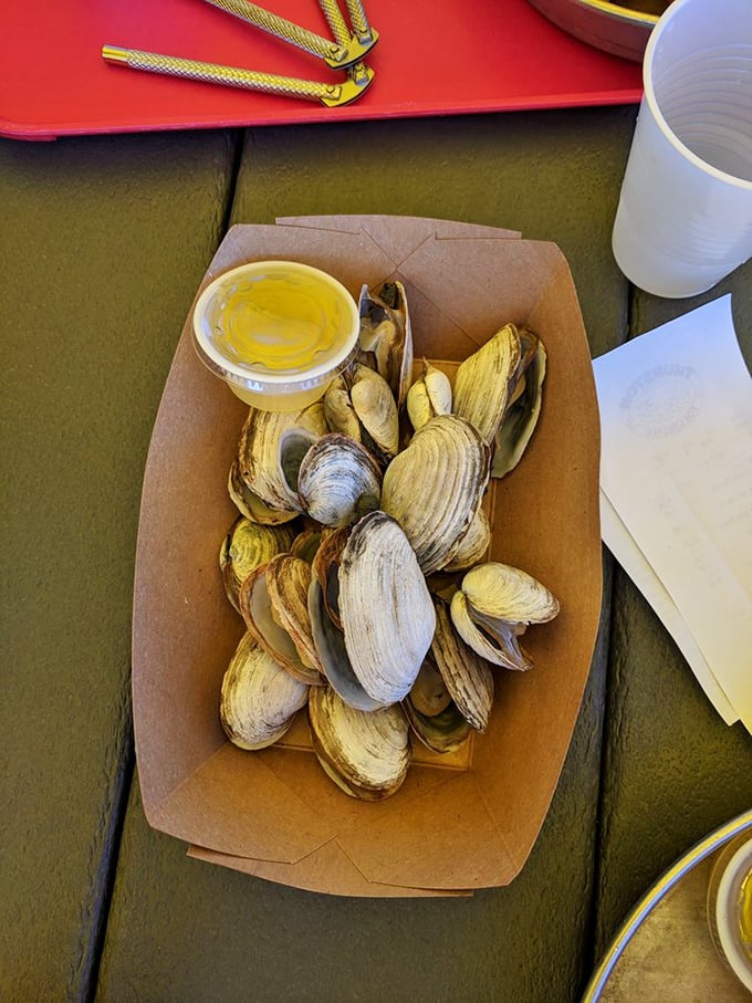 Steamed clams: nature's little salt-water jacuzzis. They're like the ocean's version of edible hot tubs, complete with a side of melted butter.