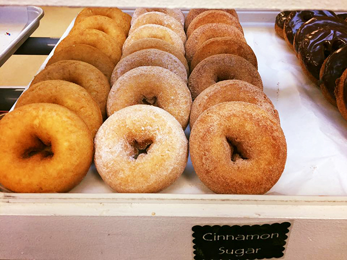 Cinnamon sugar donuts: proof that sometimes the simplest pleasures are the sweetest. Resistance is futile, my friends.