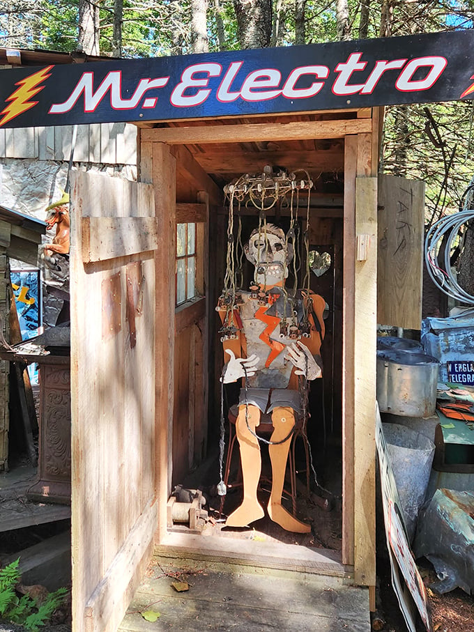 Meet Mr. Electro, the most shockingly bad dancer in town. His moves are truly hair-raising!