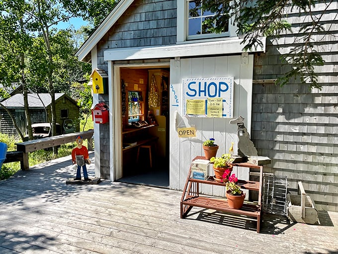 Open sesame! The shop entrance beckons, promising treasures sweeter than Ali Baba's cave. Prepare your taste buds for a jamboree!