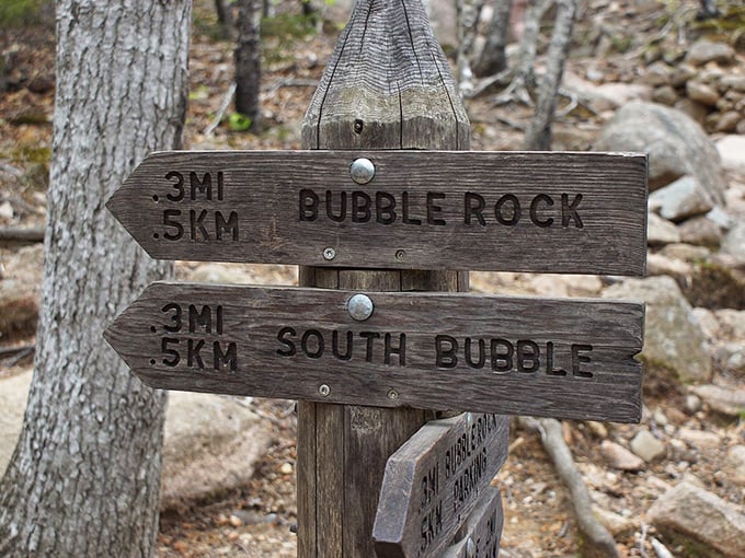 Choose your own adventure: Bubble Rock or South Bubble? Either way, you're in for a treat that's better than any choose-your-own-ending book.