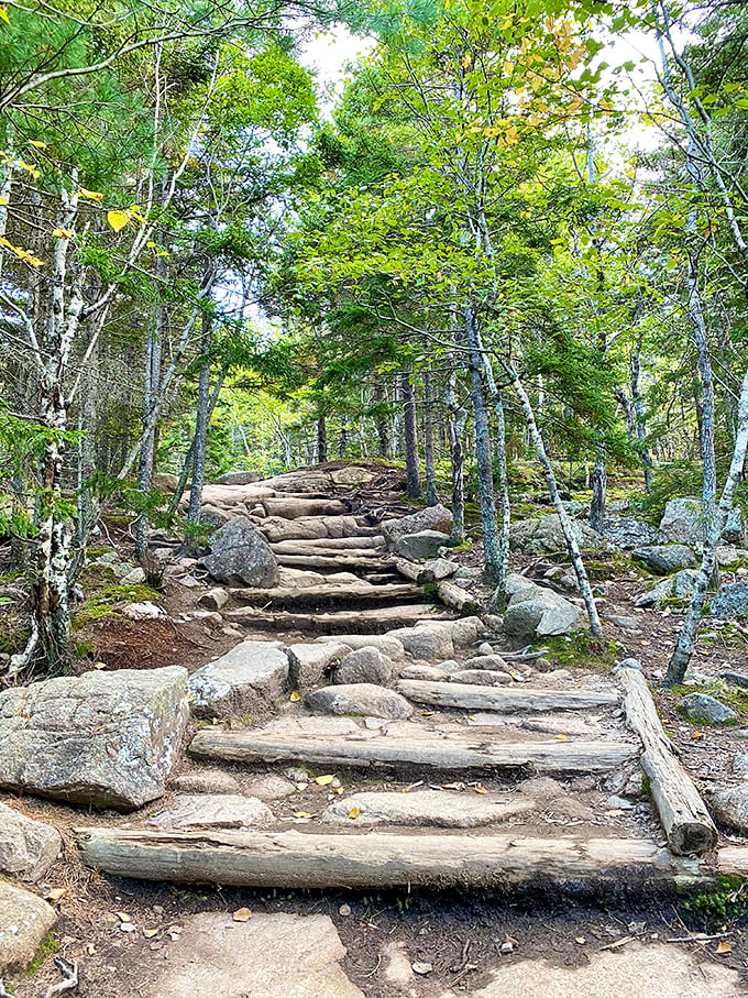 Stairway to heaven? Nope, just the path to Bubble Rock. Each step's a mini-adventure, like a geological game of Chutes and Ladders.