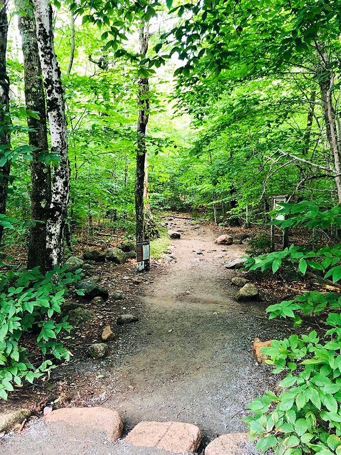 The path less traveled? Maybe not, but it's still pretty darn magical. Like stepping into a real-life fairy tale, minus the evil witch.