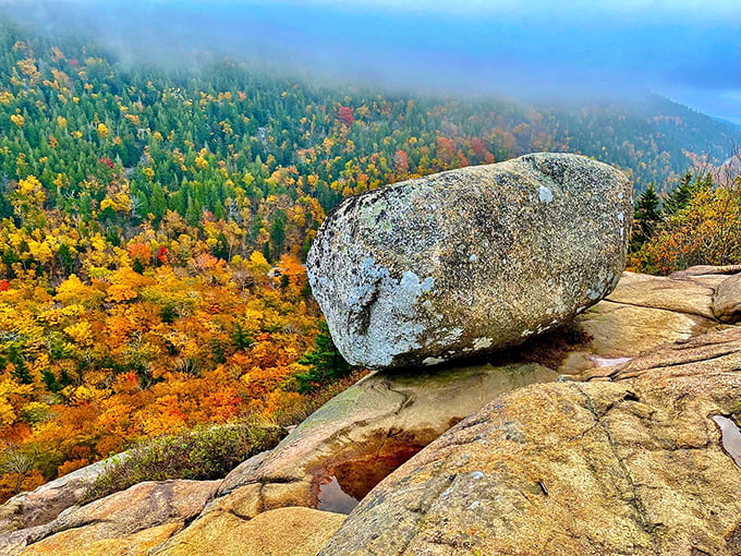 Fall in Acadia: Where Mother Nature busts out her paintbox and goes wild. Bubble Rock's just chillin', enjoying the show.