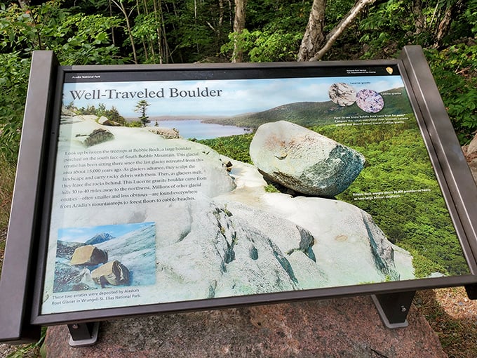 Well-Traveled Boulder - sounds like the title of a quirky indie film. In reality, it's just Bubble Rock's origin story, glacier-style.