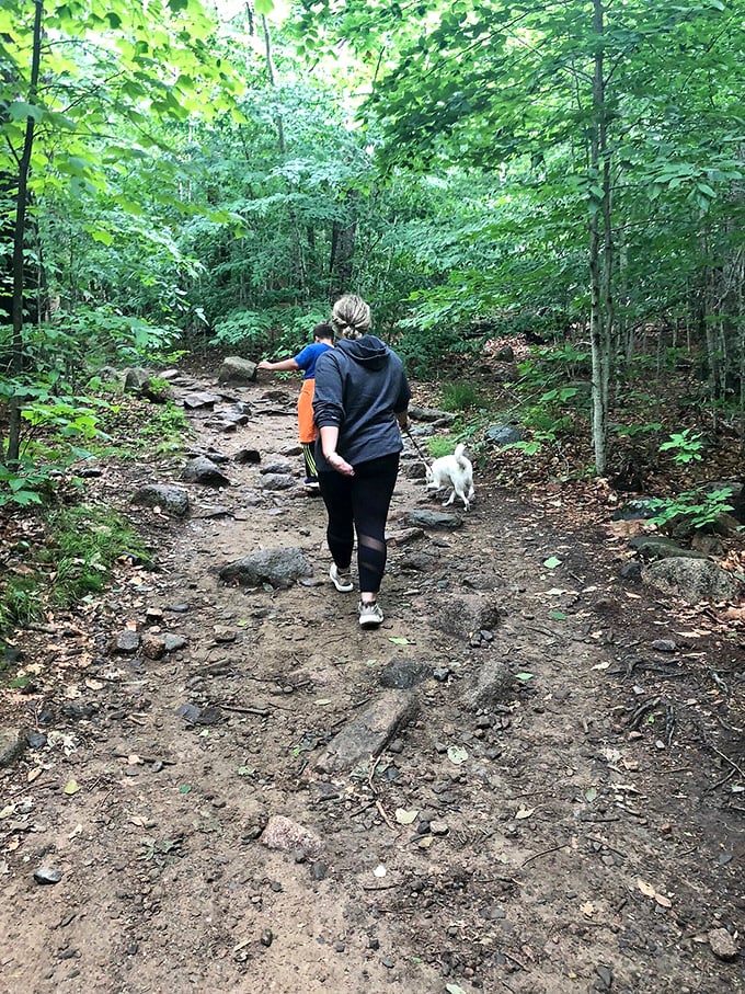 The family that hikes together, stays together... or at least gets lost together. Adventure awaits around every bend!