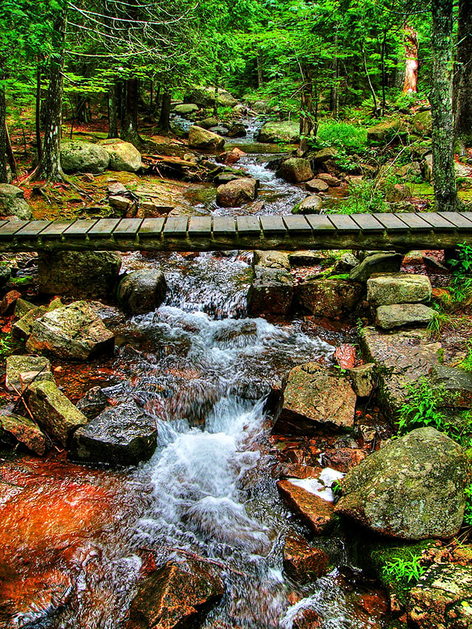 Who needs a spa day when you've got nature's own soundtrack? This stream's babbling more than your chatty Aunt Mildred at Thanksgiving.