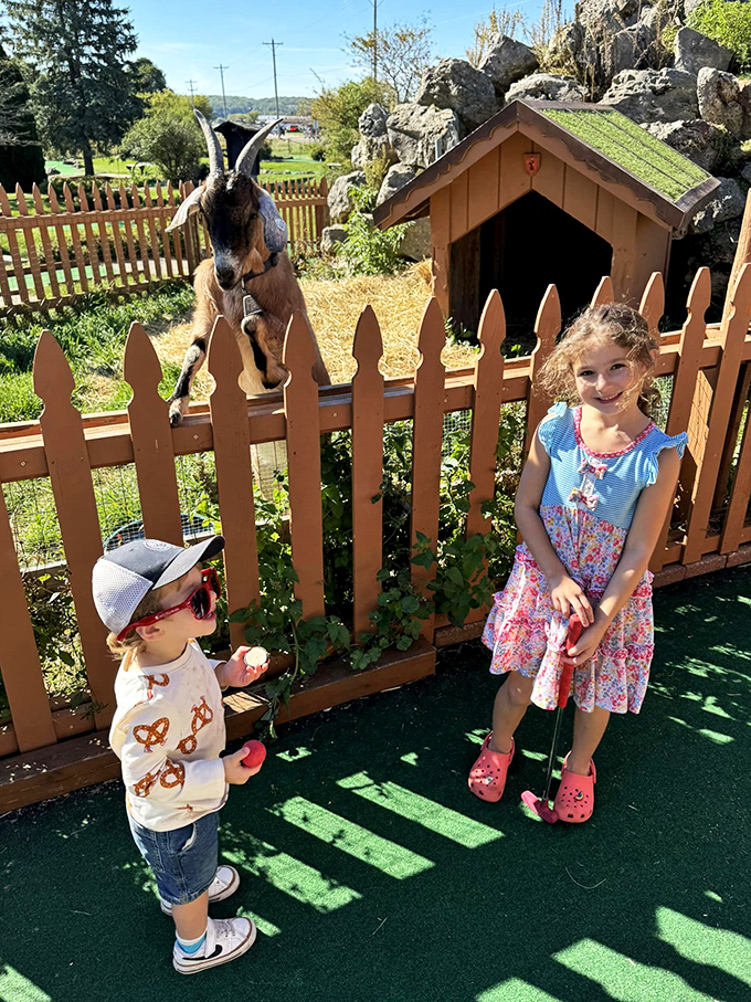 Starting them young: Where future golf champions learn the ropes... and the importance of a good pretzel grip.