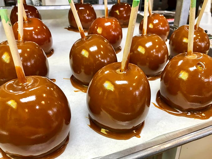 Caramel apples: Where fruit meets decadence. It's like autumn and summer had a delicious love child.