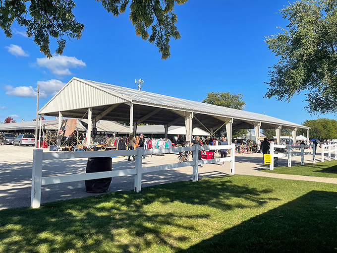 Bargain hunters, unite! The Kane County Flea Market is where treasure-seeking meets cardio – bring comfy shoes and an adventurous spirit.