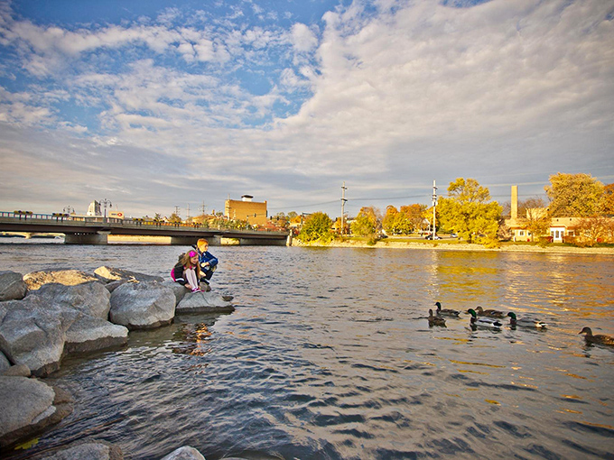 Duck, duck, photo op! The Fox River isn't just for the birds – it's a slice of serenity in the heart of town.