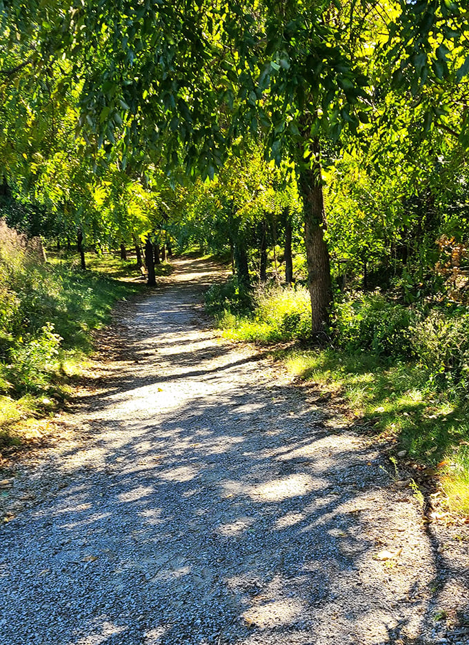 Nature's red carpet! This trail invites you to take a stroll through a green wonderland. Warning: May induce spontaneous bird watching.