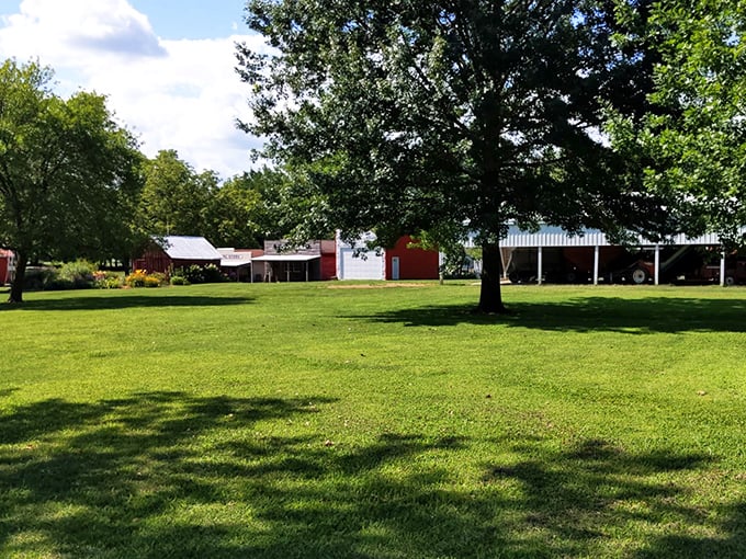 History buffs, rejoice! The Macoupin County Historical Society is where the past comes out to play, no DeLorean required.