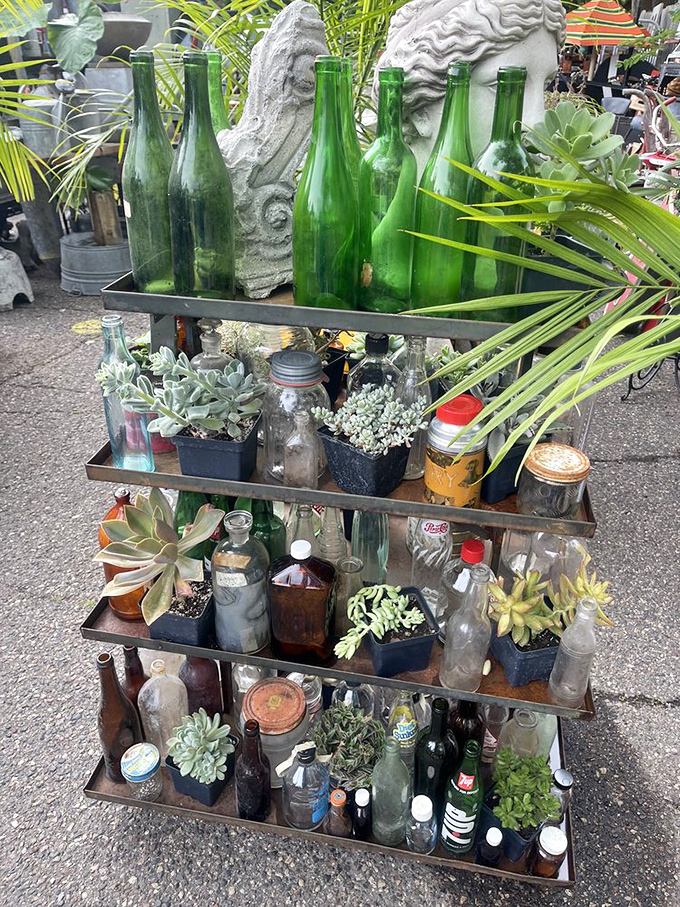 Nature meets nostalgia in this green corner. It's like your eccentric aunt's garden shed got a makeover from a steampunk fairy.