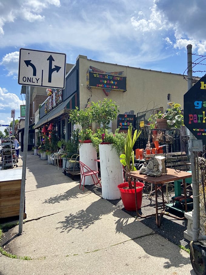 Urban jungle meets vintage vibe. The sidewalk becomes a garden of curiosities, where every pot and planter tells a story.