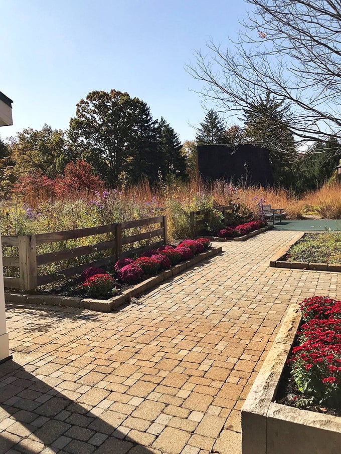 A path less traveled? Not anymore! This inviting walkway leads visitors through a tapestry of colors that would make Joseph's technicolor dreamcoat jealous.