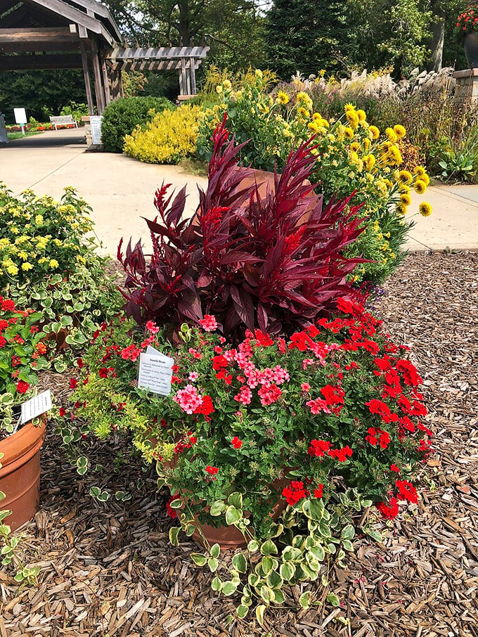 A floral fireworks display that lasts all season long! This vibrant mix of colors proves that gardeners are the ultimate pyrotechnicians.