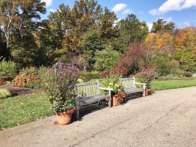 Take a load off and smell the... well, everything! These benches offer front-row seats to nature's greatest show on earth.