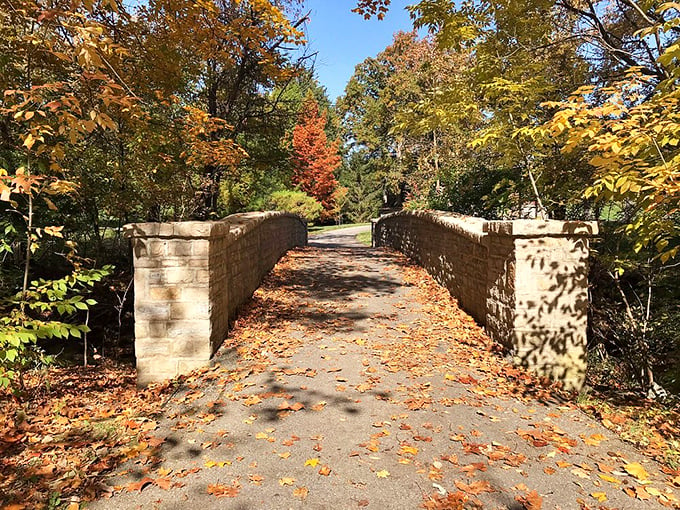 Bridge over untroubled water! This charming crossing invites visitors to embrace their inner troll – the fairy tale kind, not the internet variety.