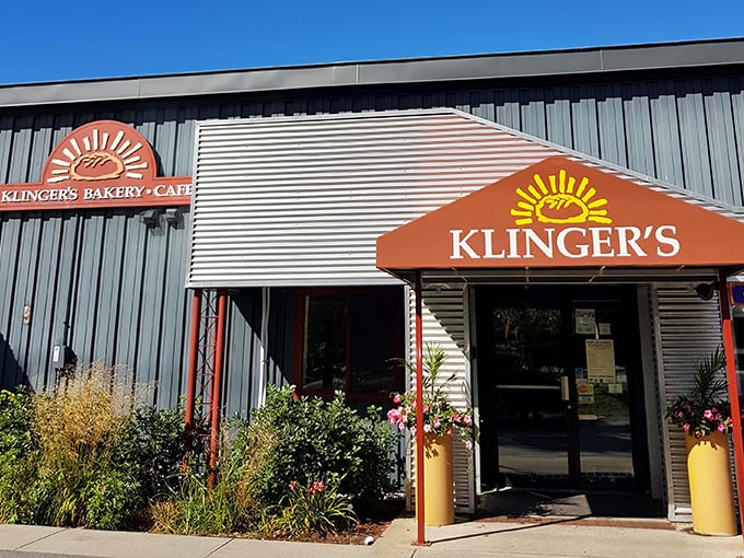 Klinger's: The bakery equivalent of a superhero's secret lair. Unassuming outside, but inside? Bread-making magic happens!