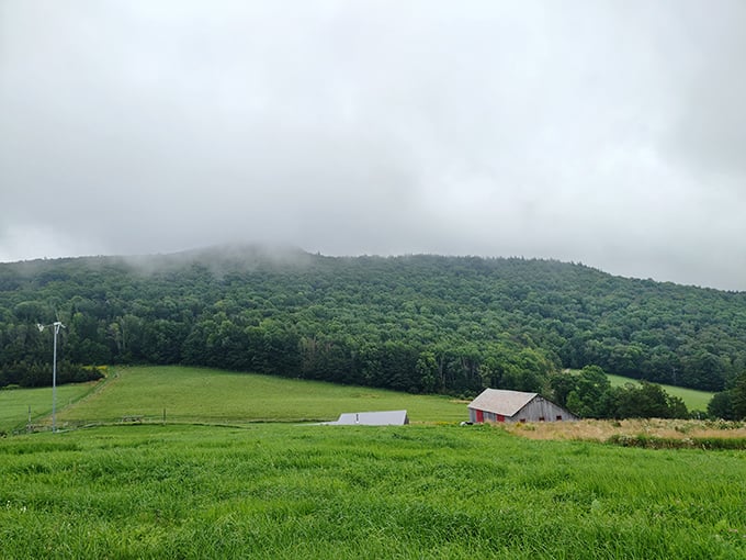 Misty mountains and rustic barns - it's like Vermont decided to star in its own atmospheric indie film.